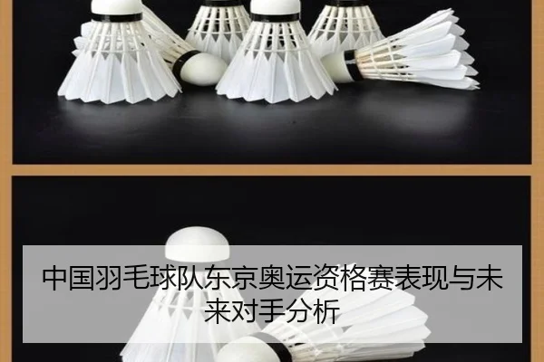 中国羽毛球队东京奥运资格赛表现与未来对手分析
